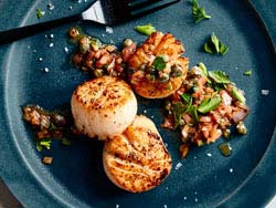 scallops-box